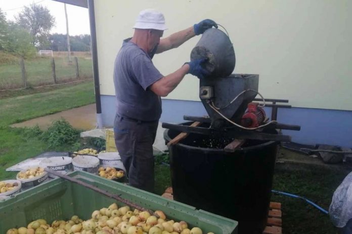 kruške