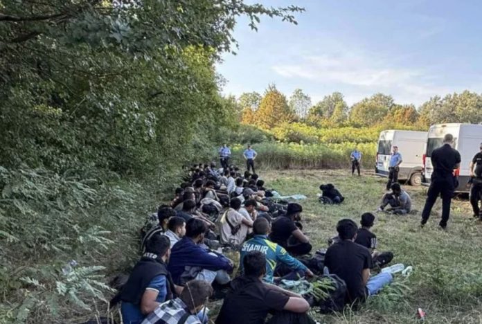 96 migranata